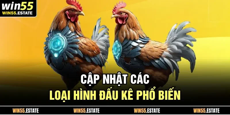 Cập nhật các loại hình đấu kê phổ biến