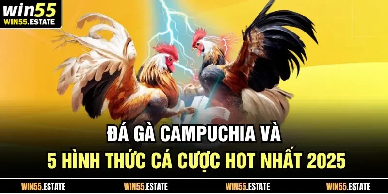 Các giải đá gà Campuchia đều rất minh bạch