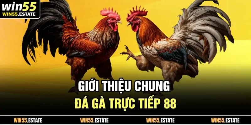 Giới thiệu chung đá gà trực tiếp 88