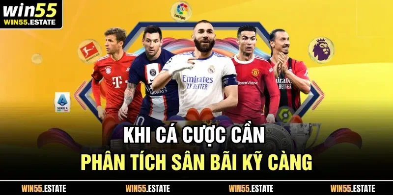 Khi cá cược cần phân tích sân bãi kỹ càng 