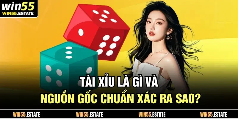 Tài Xỉu là gì và nguồn gốc chuẩn xác ra sao?