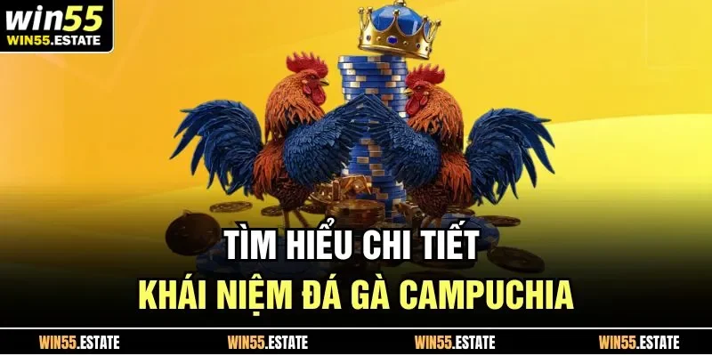 Tìm hiểu chi tiết khái niệm đá gà Campuchia