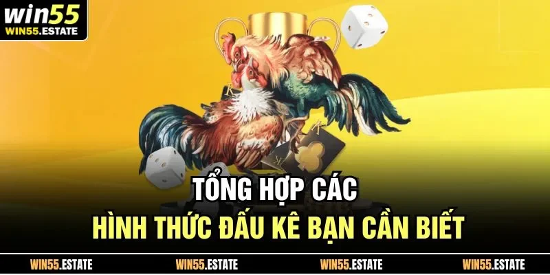 Tổng hợp các hình thức đấu kê bạn cần biết