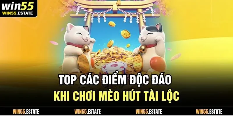 Top các điểm độc đáo khi chơi mèo hút tài lộc